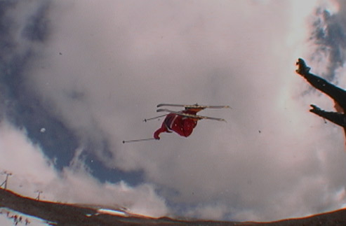 Harrison Timberline QP 9.27.02