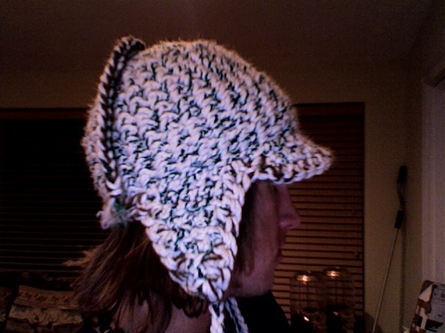 Hat with bill and earflaps