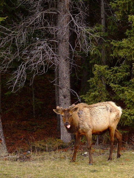 Haterz everywhere we go