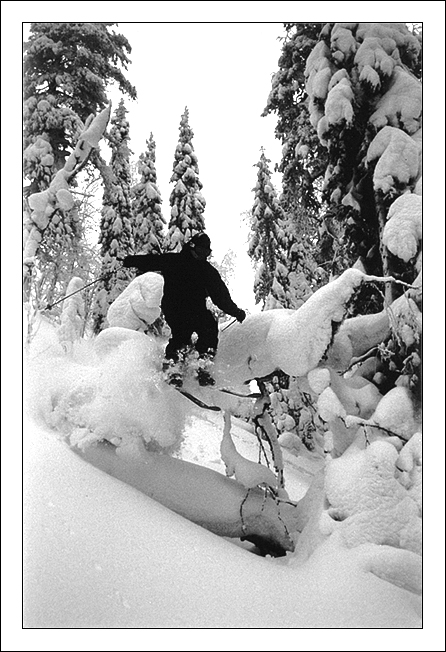 Having fun in powdery forest