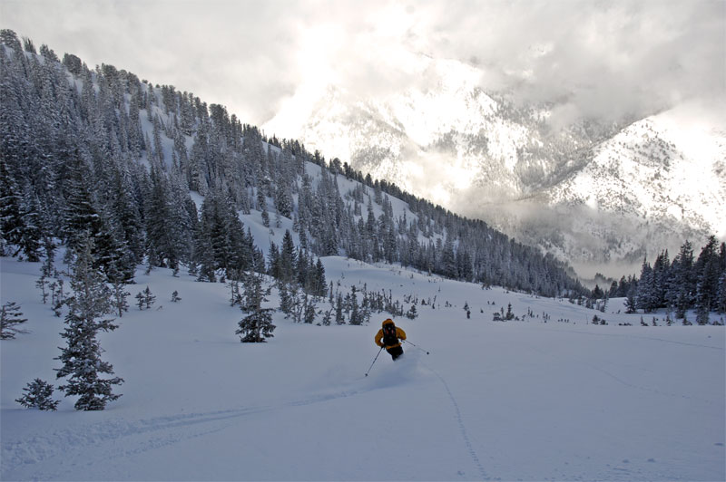 He needs to get to work