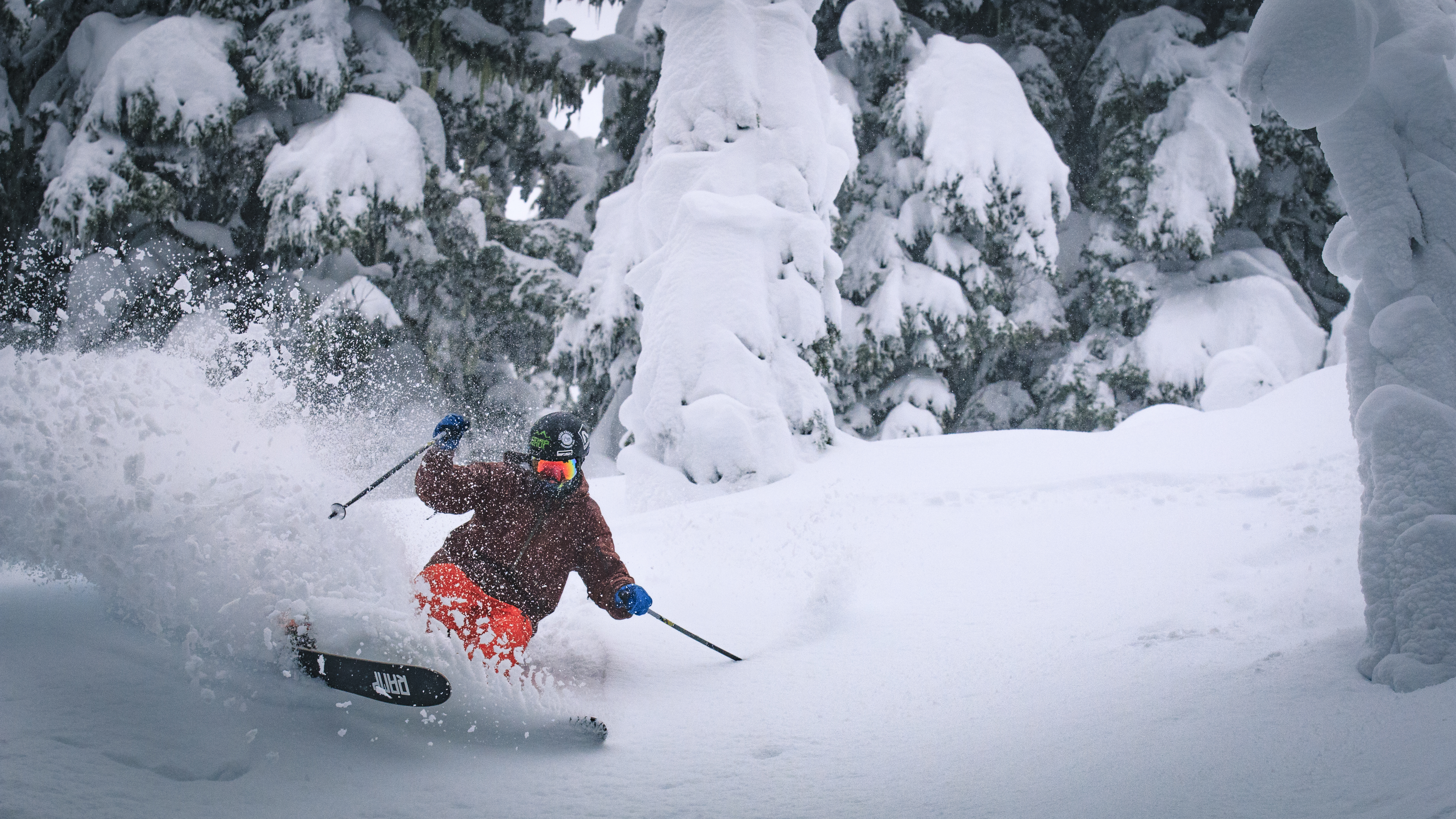 Heavy Snow and Back Country Turns