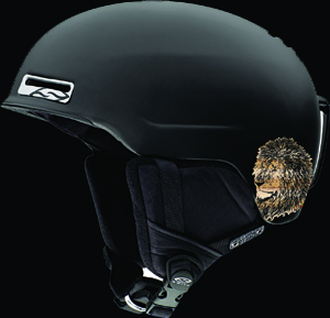 helmet