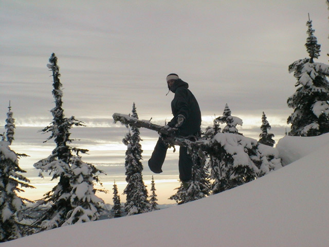 hes sitting on a tree