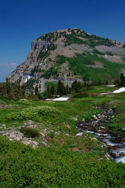 High meadow timpinogas