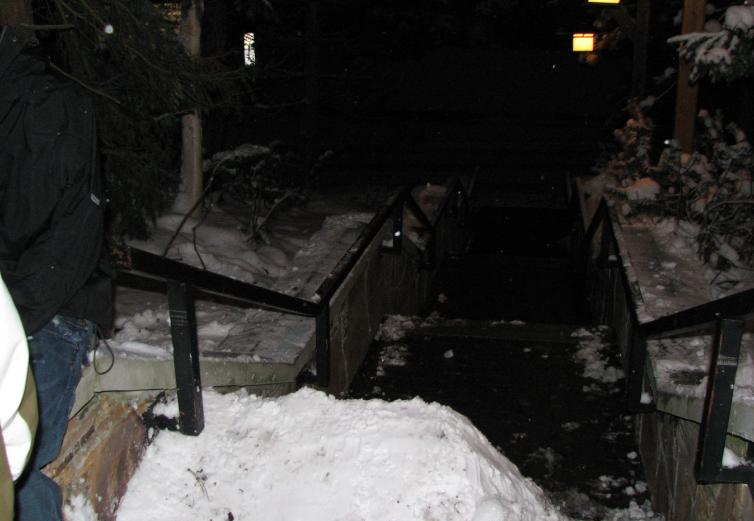 Hilton 5 kink handrail