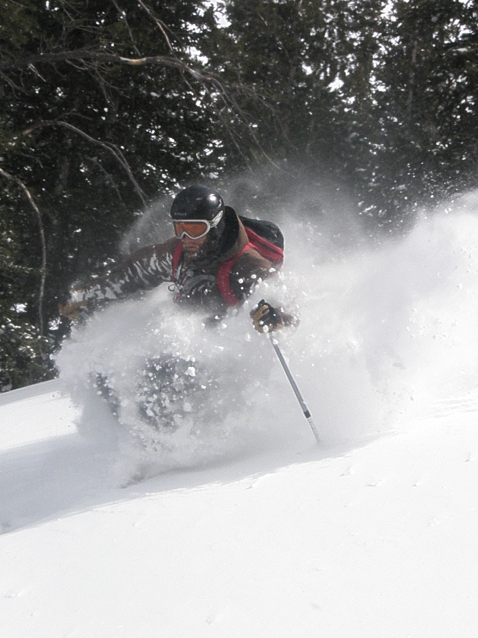 Hippies not droppin knee