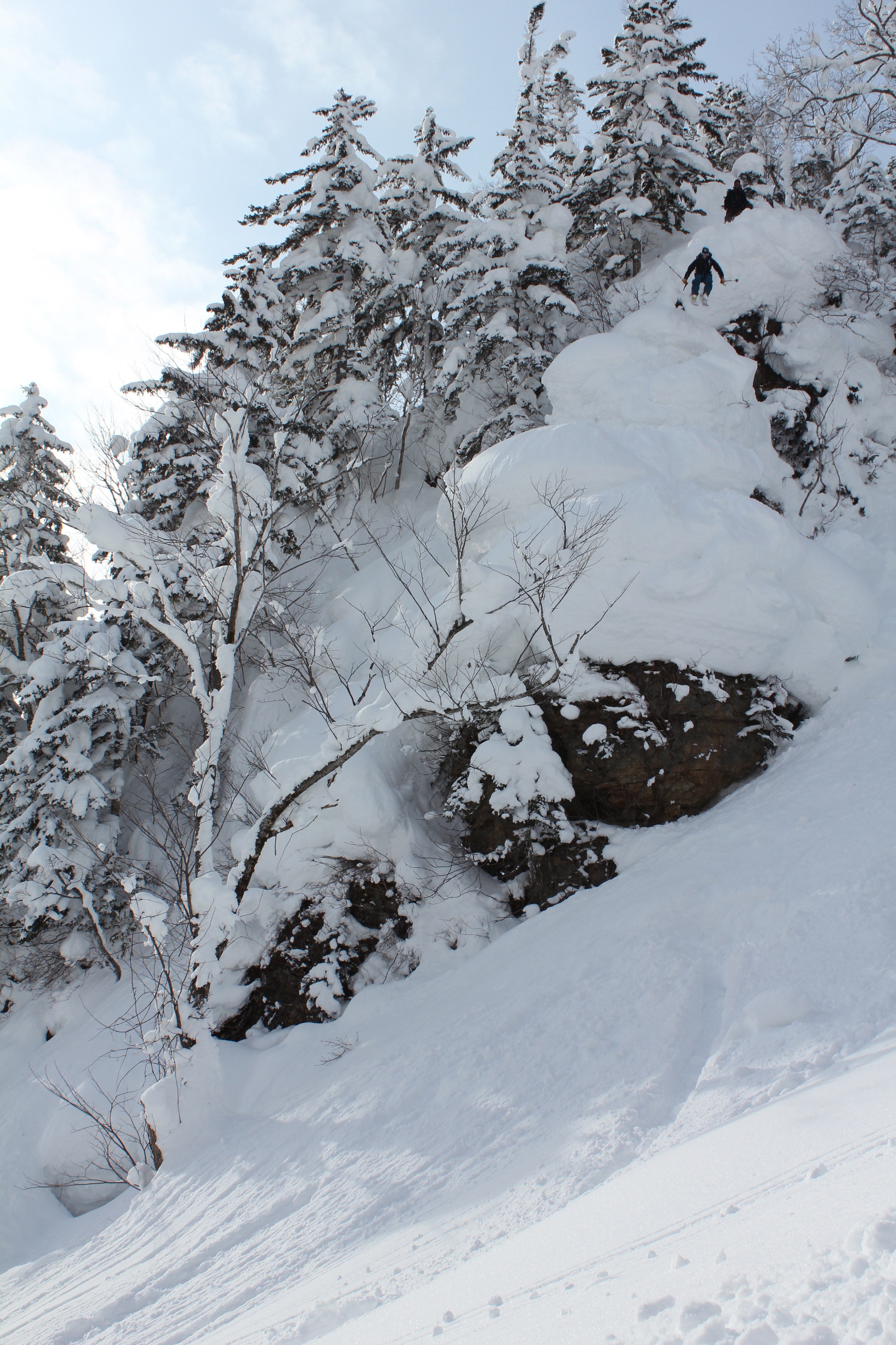 Hokkaido's Most Famous Pillow Line