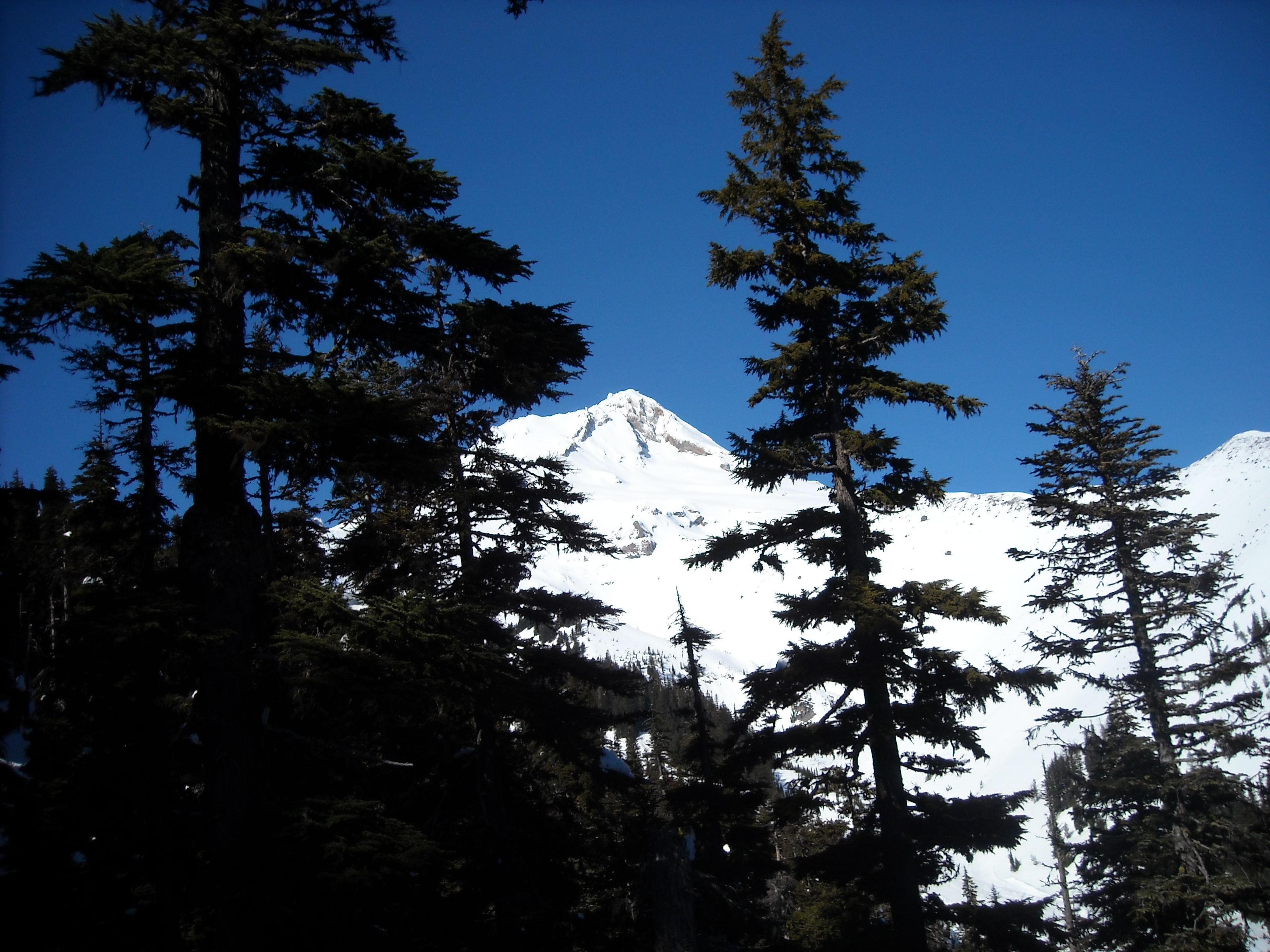 Hood from Heather's Canyon