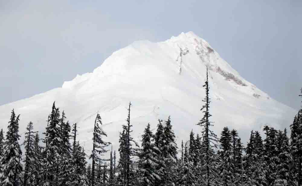 hood, going to be a good summer!