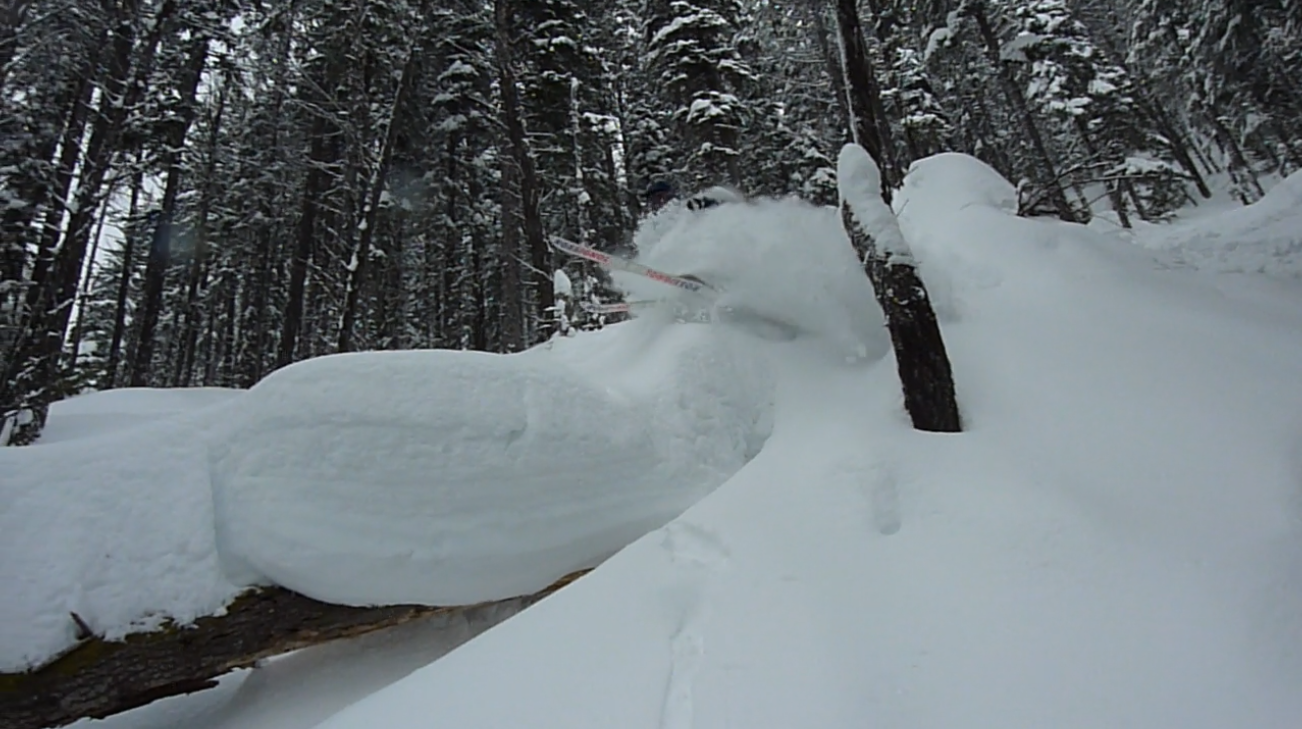 Hotdog day pow! - 1 of 3