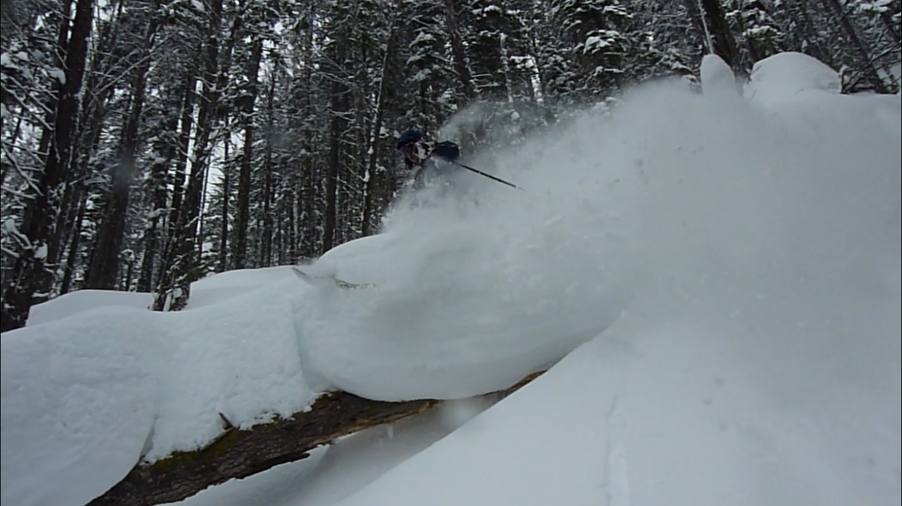 Hotdog day pow! - 2 of 3