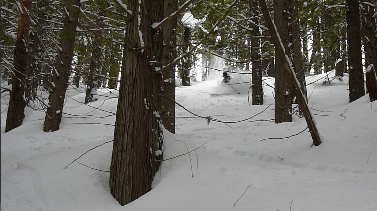 Hotdog day pow! - 3 of 3