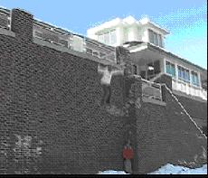 how high?? first one was wrong pic