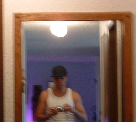 How many apes does it take to figure out a camera?