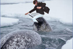 How many times need it be said?