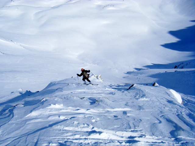 How to: Swim with Sharks