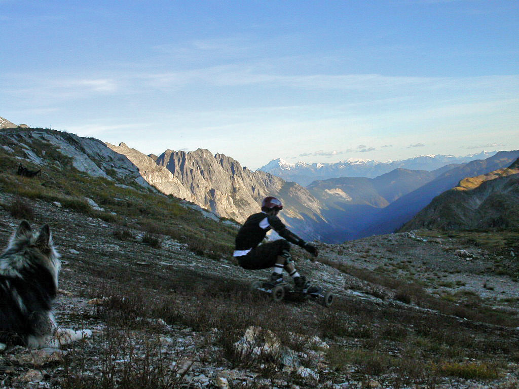 Humans have so much fun...next life dog