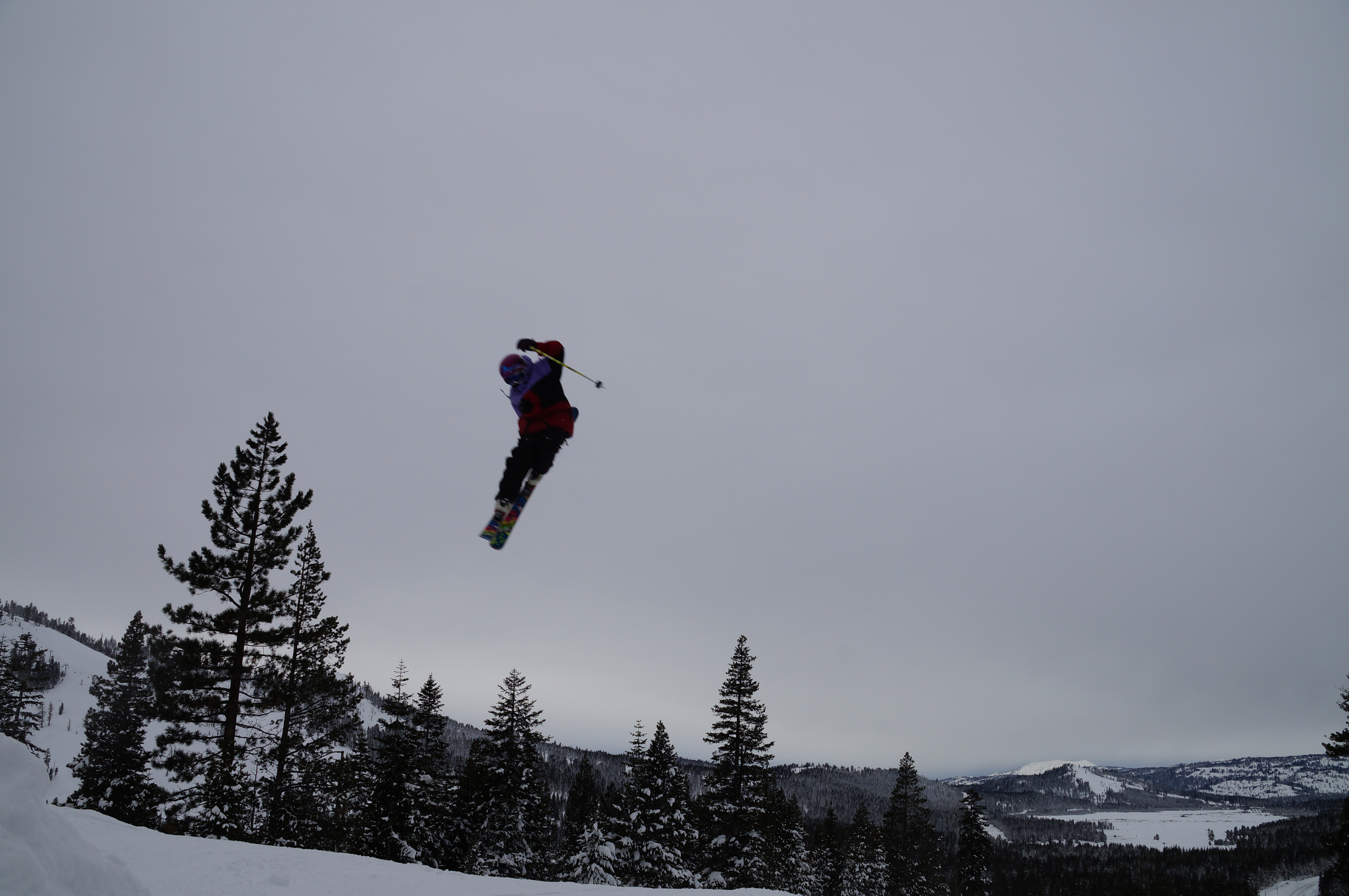 Hunter Sherwood 360 tail