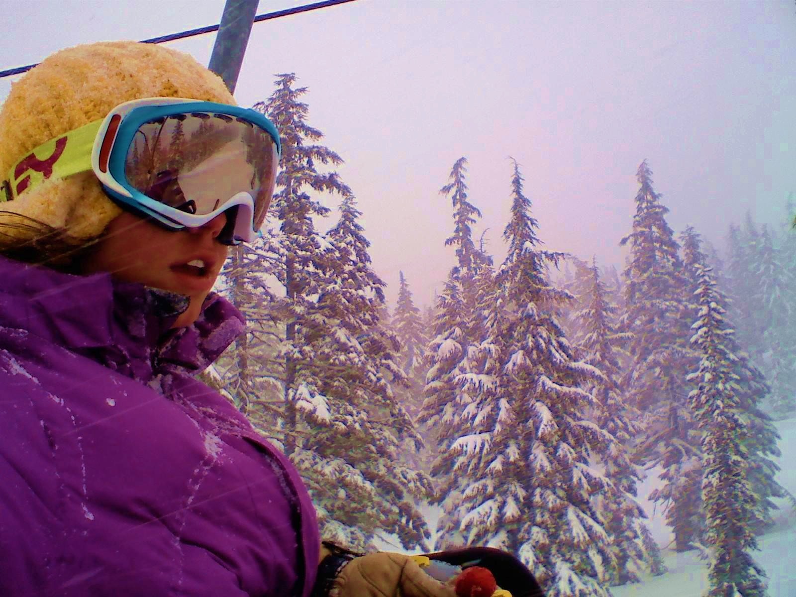 I am the silent coyote