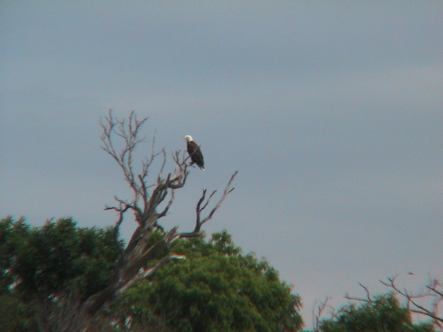 I call him Mr. poopy