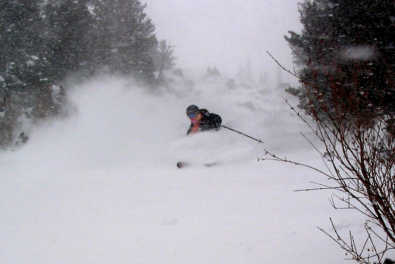 I could be your black randy moss tonight