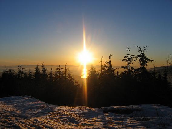 i done reckon that there be purdy