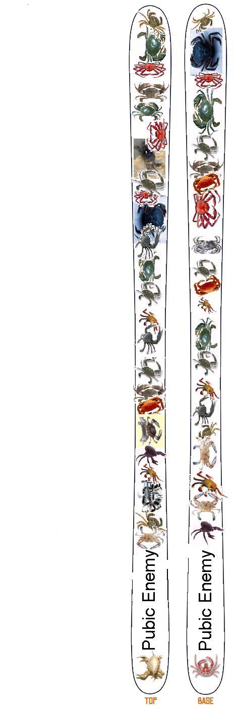 i don't know if this has been done before, but here it is