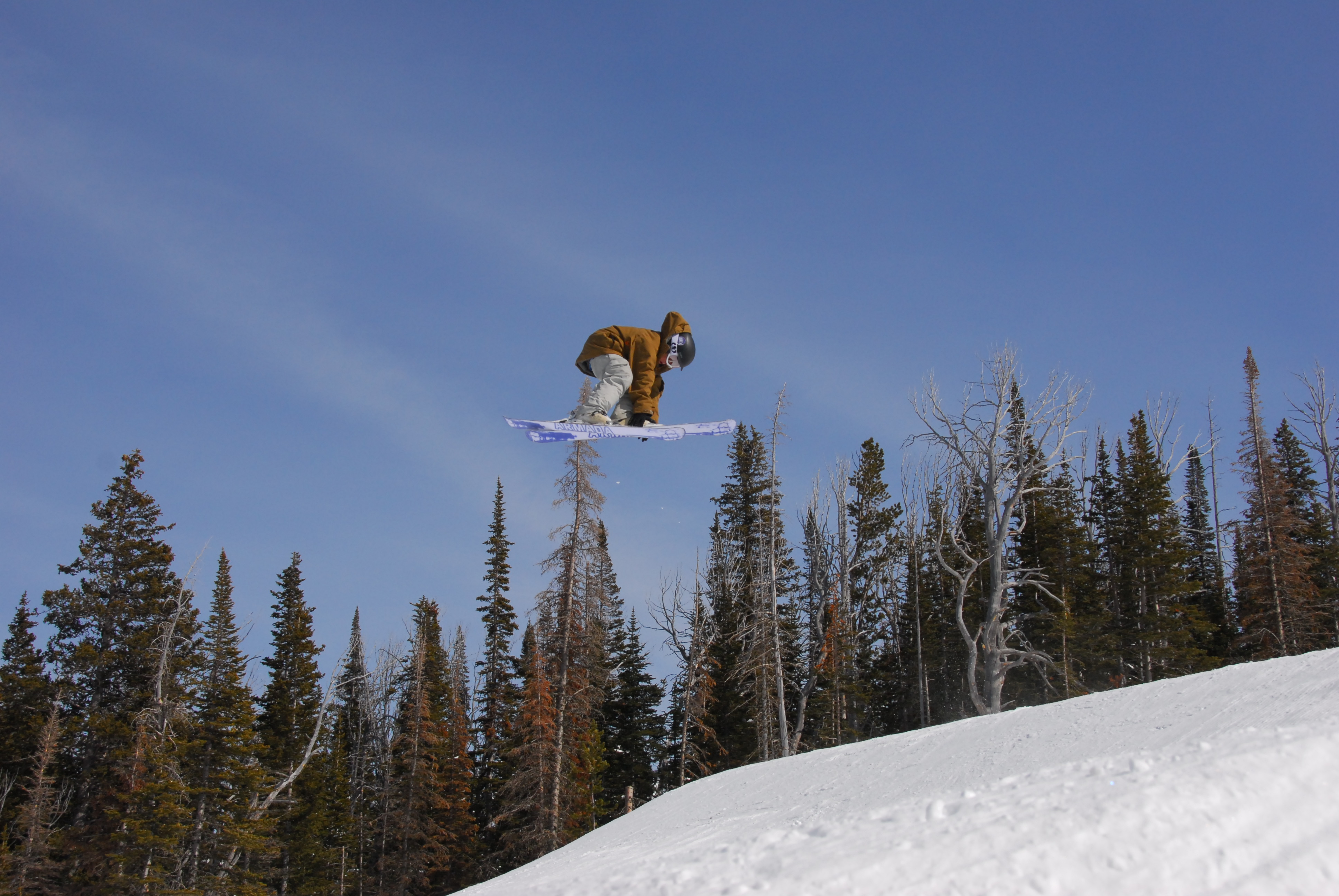 I dunno what grab this is