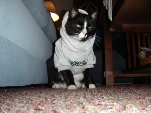 i found a small sweatshirt