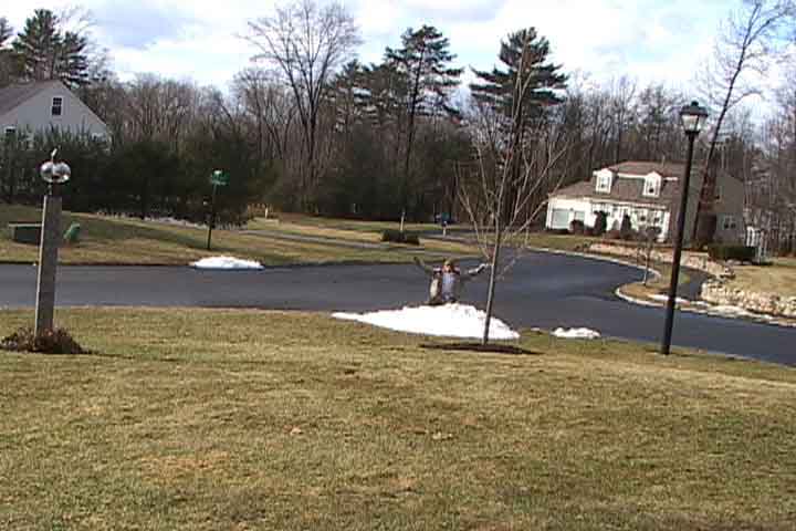 I found all the Snow in Mass!