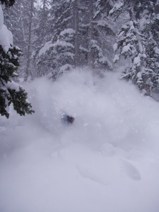 I GET MORE FACE SHOTS THAN NIKKI NOVA!