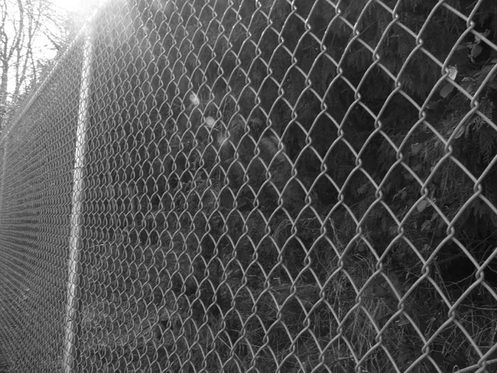 i hope you like fences