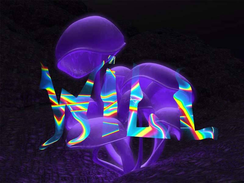 I just learning adboe but I thought this was cool...plz tell me how you like it ^^.