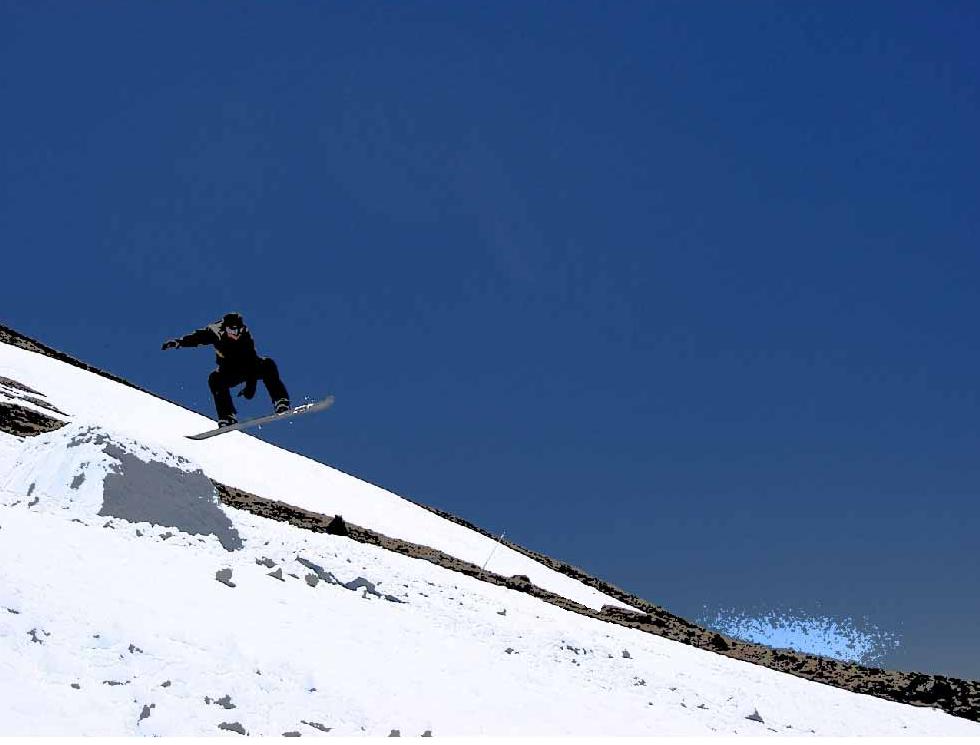 i know this vector is a boarder, but its fresh