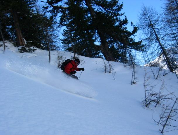 I Love trees till I ripped the edge off my skis