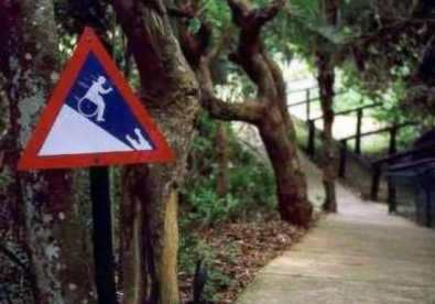 I saw this in florida ad an aligator park