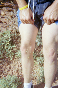 I think the cactus won....