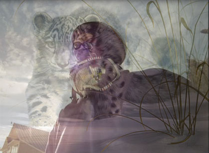 Icon and profile pic PS