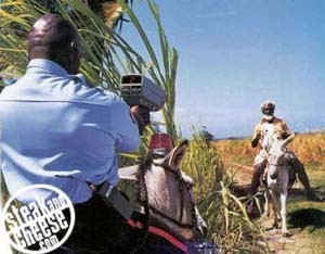 If i catch you speeding.........