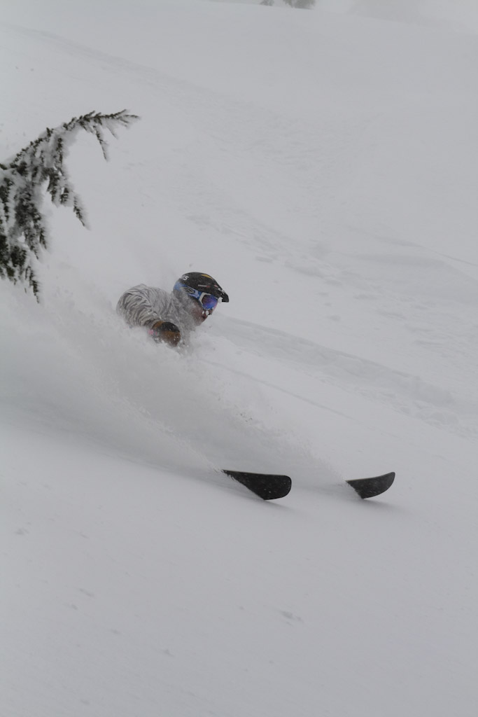Iggy at Cat Ski Mount Bailey