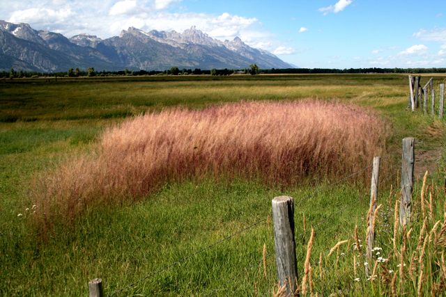 I'm GOING to JACKSON