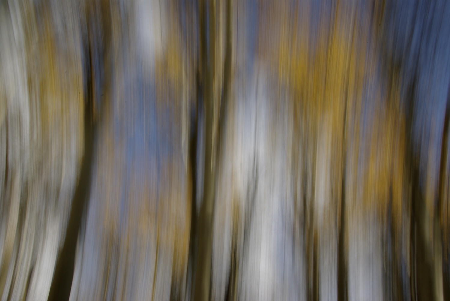 Impressionist photograph