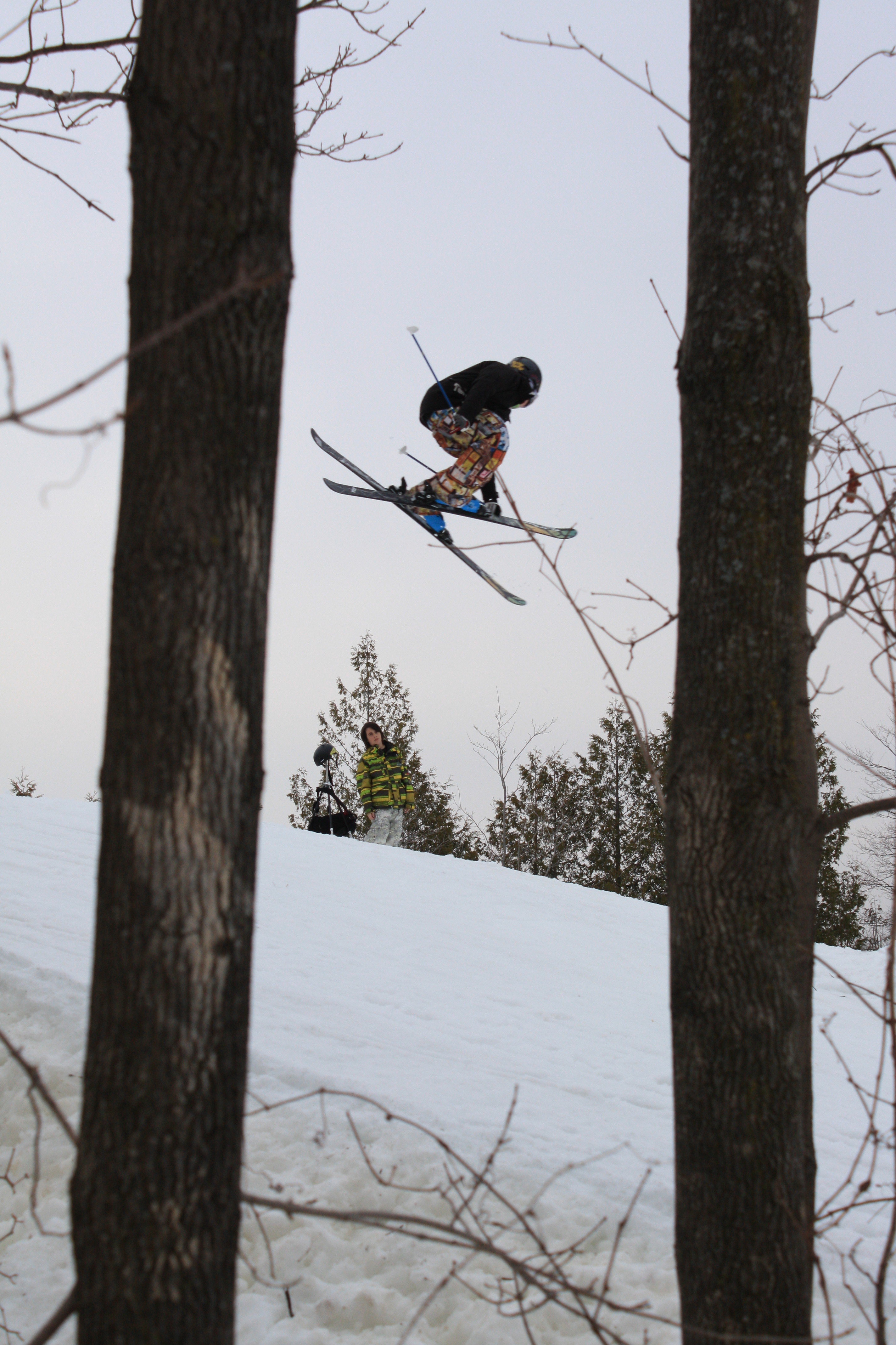 In Between the Trees