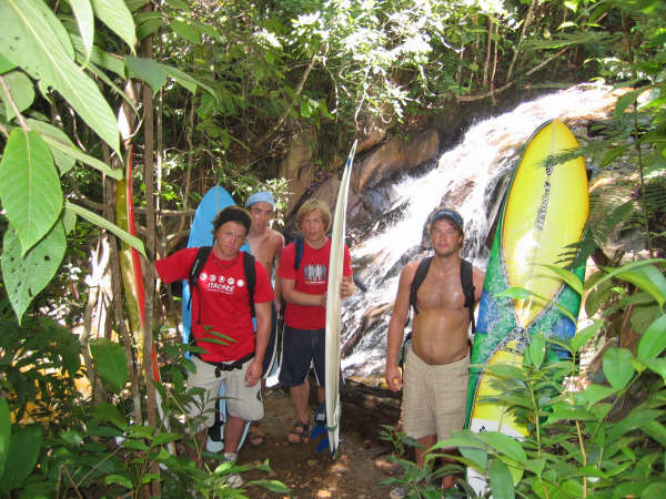 In the jungle