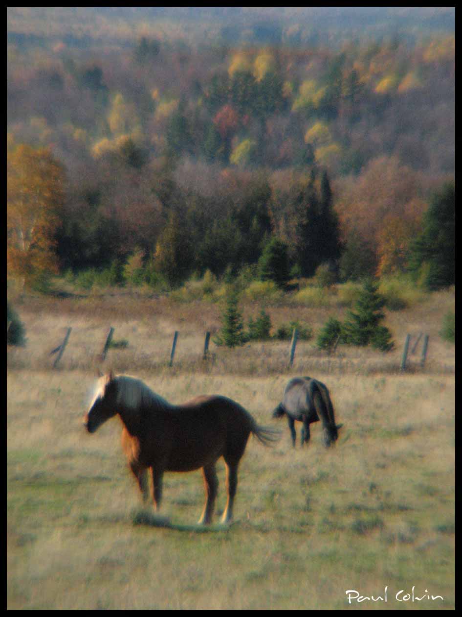 In the middle of nowhere