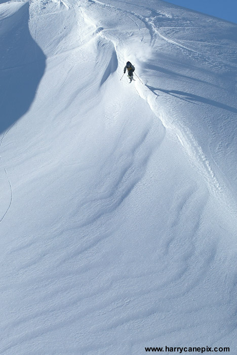 interesting depth of field - what do you think?