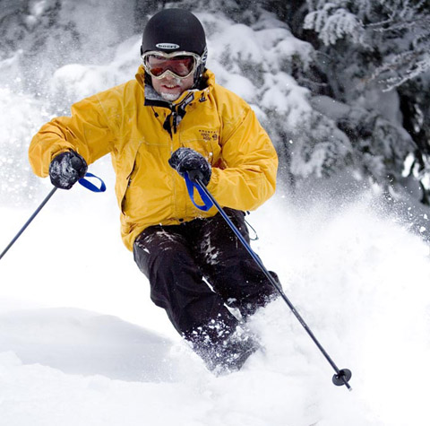 Inventing the forest in Steamboat.