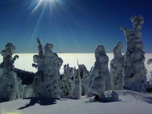 Inversion and snow ghosts on big mountain