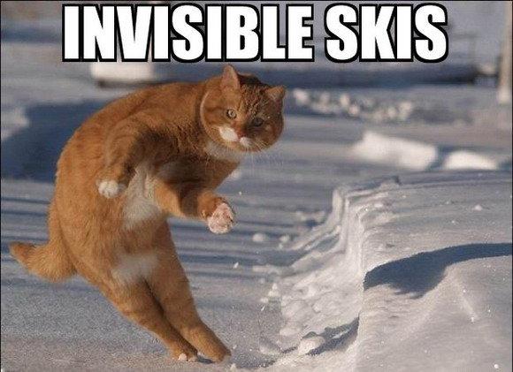 Invisible skis